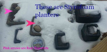some styrofoam planters in snow