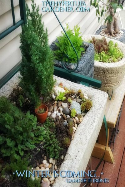 hypertufa planters with evergreens