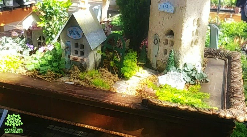 Fairy Garden Pictures and Ideas