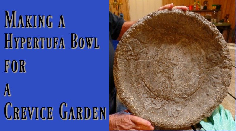 Crevice Garden - I have made a hypertufa bowl so that I can plant one