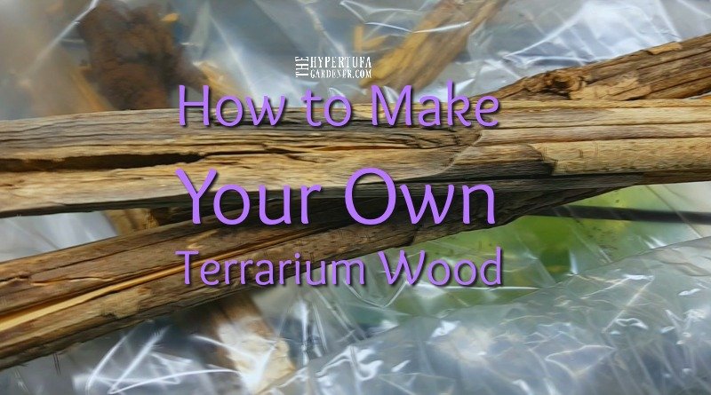 How to make your own terrarium wood at home