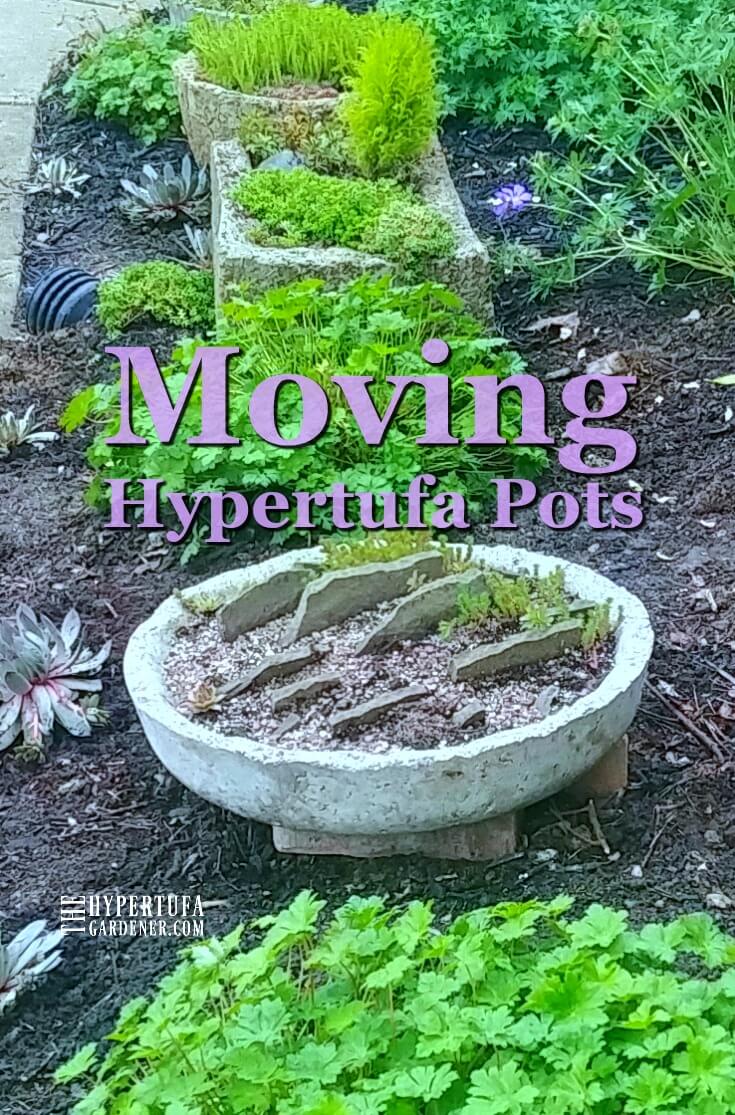 Moving Hypertufa Pots and replanting