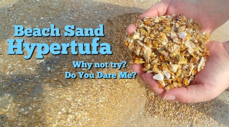 Beach Sand Hypertufa - I am willing to try the experiment