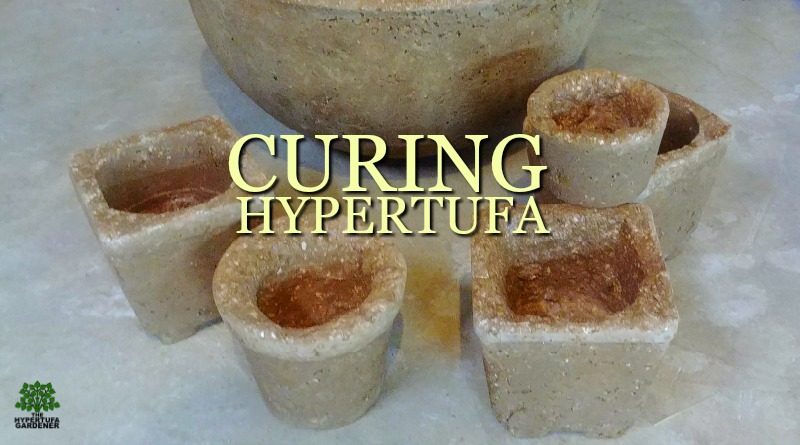 image of several hypertufa pots for Curing Hypertufa