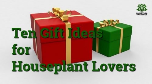 10+ Best Gifts for Houseplant Lovers