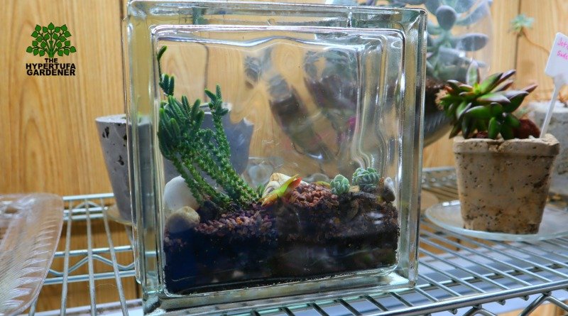 image of mini glass block terrarium