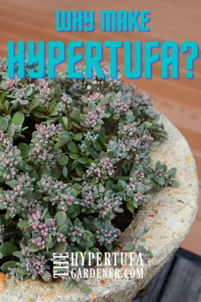 image of large hypertufa bowl with succulent planted inside