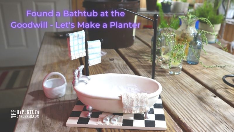 image of small clawfoot tub & we'll make it into a bathtub planter